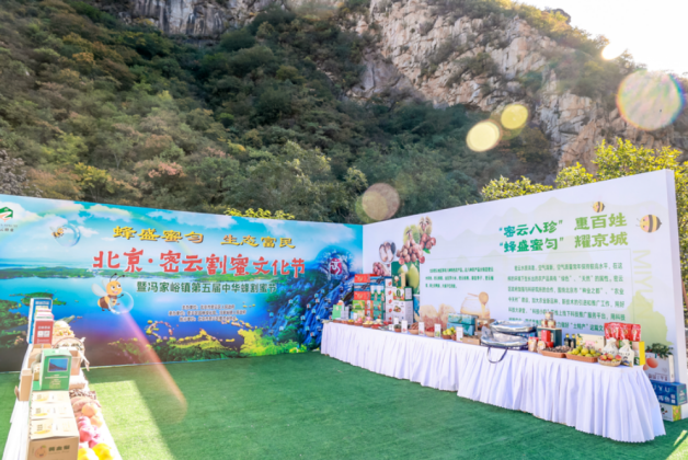 2402061515031286733566